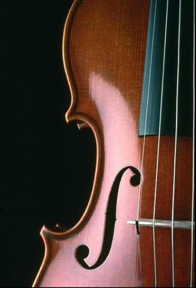 Fiddle